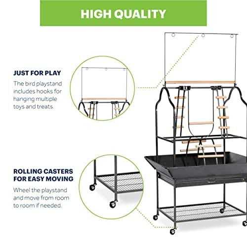 Prevue Pet Products Parrot Playstand