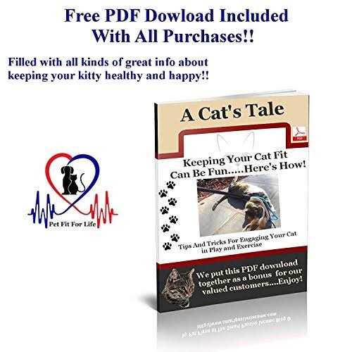 Pet Fit For Life Cat Wand Toy 5-Piece Worm Teaser & Exerciser