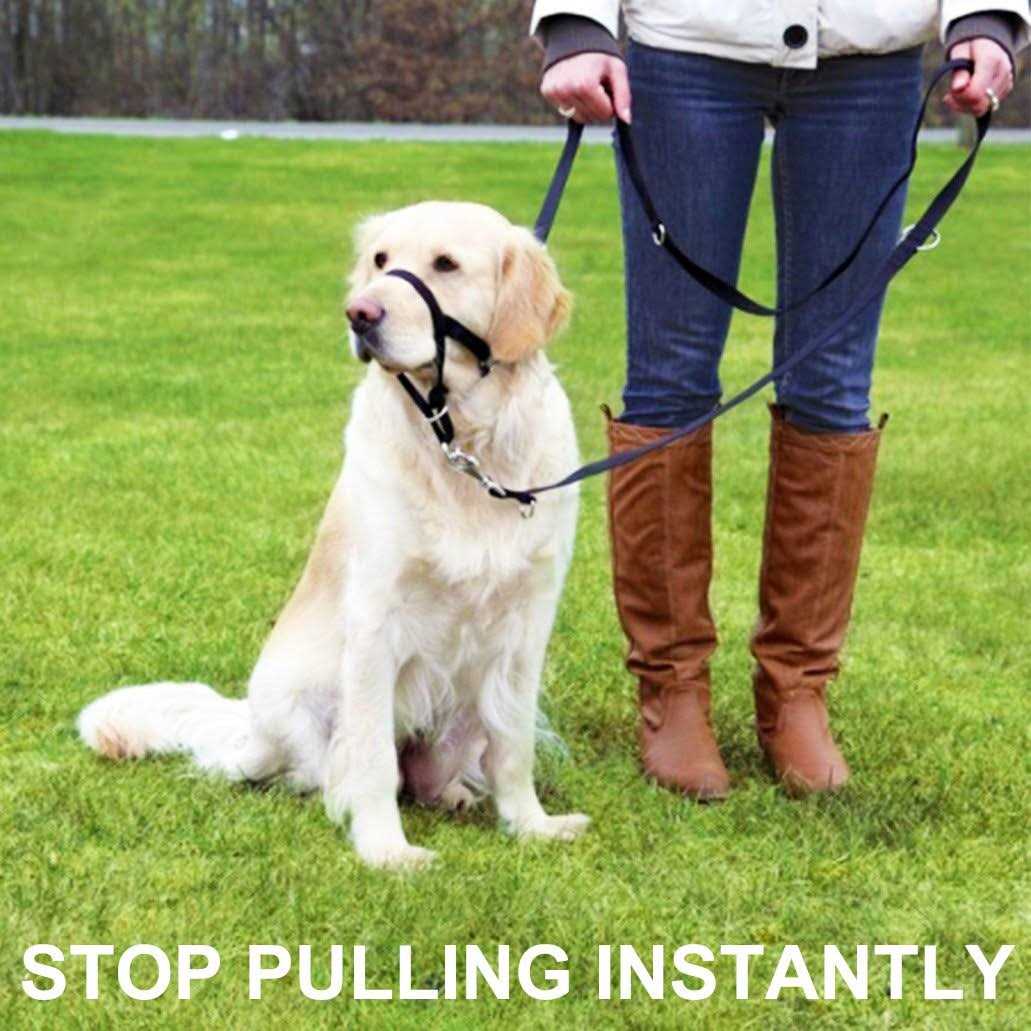 Barkless Dog Head Collar No Pull Training Tool for Dogs on Walks