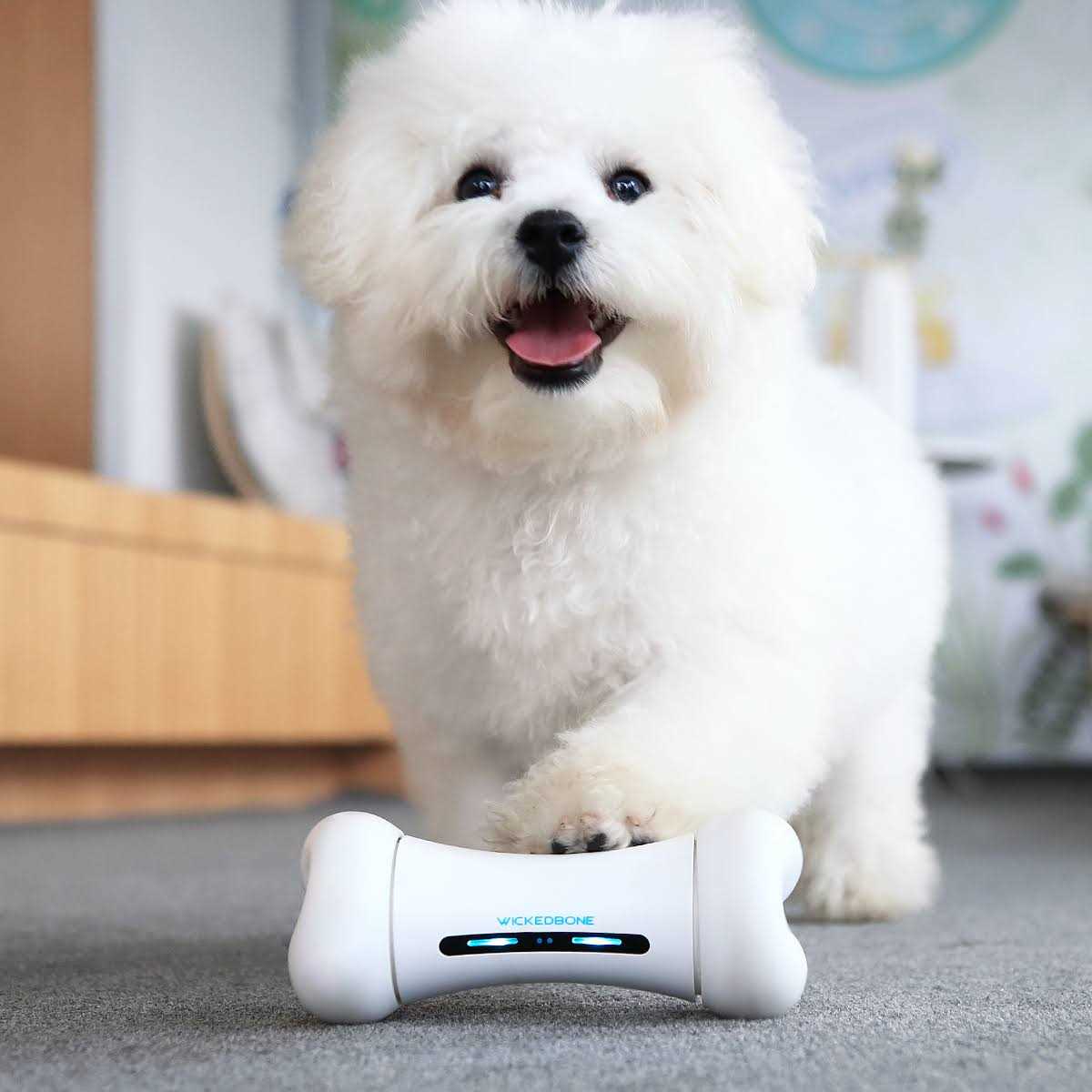 Cheerble Wickedbone 100% Automatic Interactive Toys for Dogs