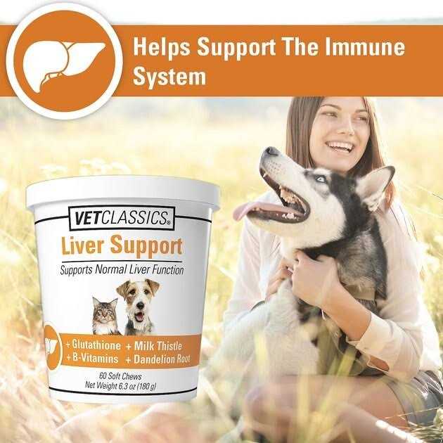 VetClassics Liver Support