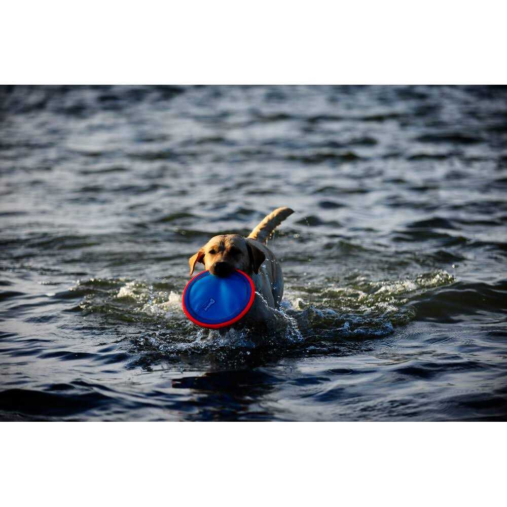 Chuckit! Dog Toy Paraflight