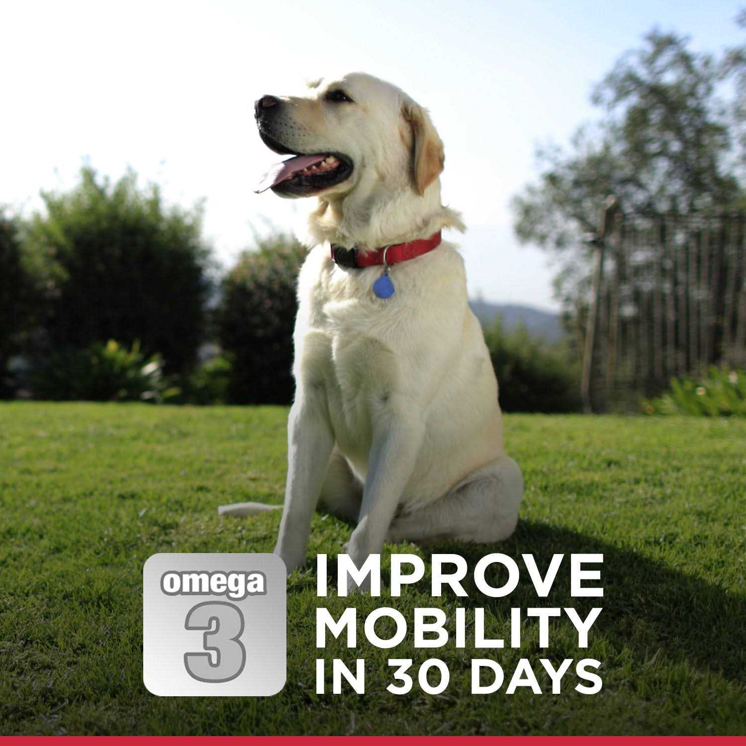 Hill’s Science Diet Adult Healthy Mobility Small Bites Dog Food