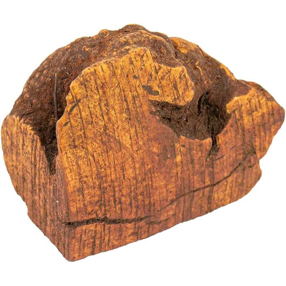 Wildfang Chew root from the tree heath for Dogs