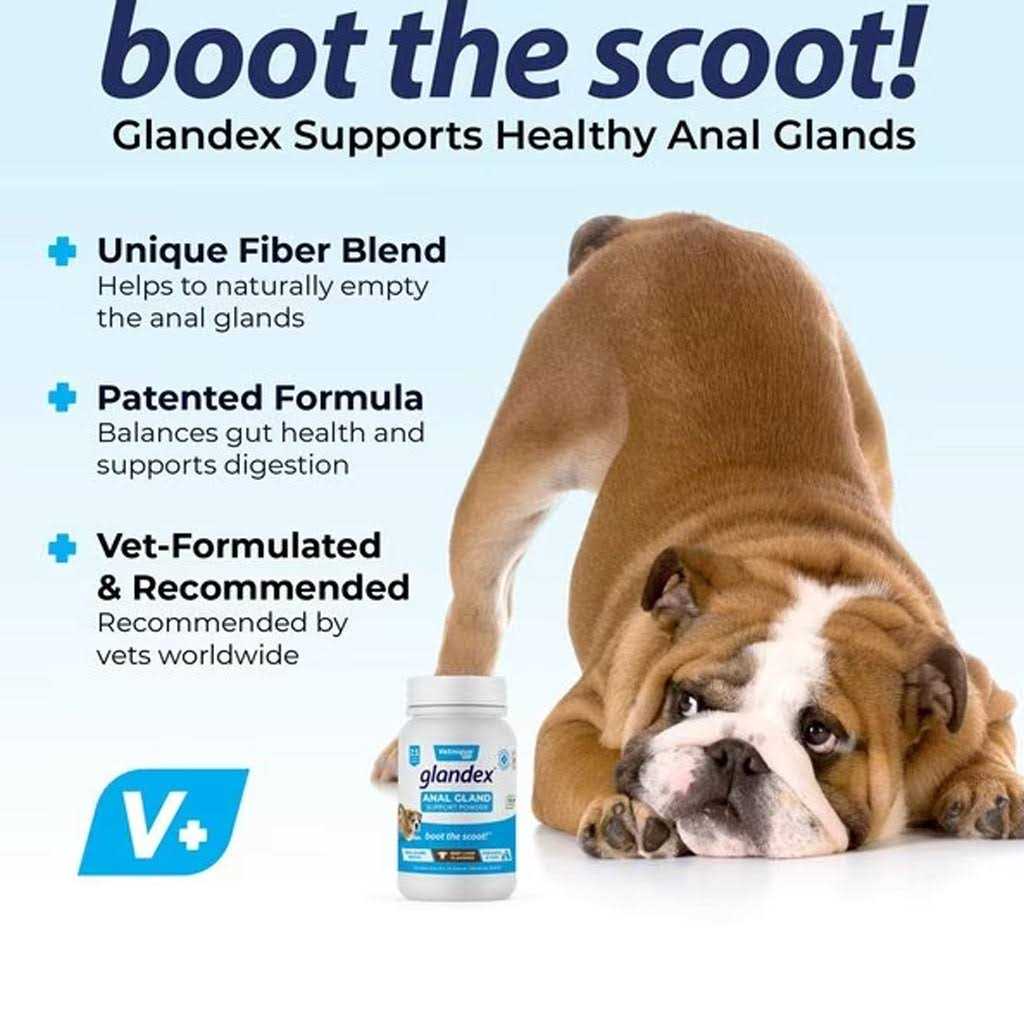 Glandex Anal Gland Support Powder for Dogs & Cats