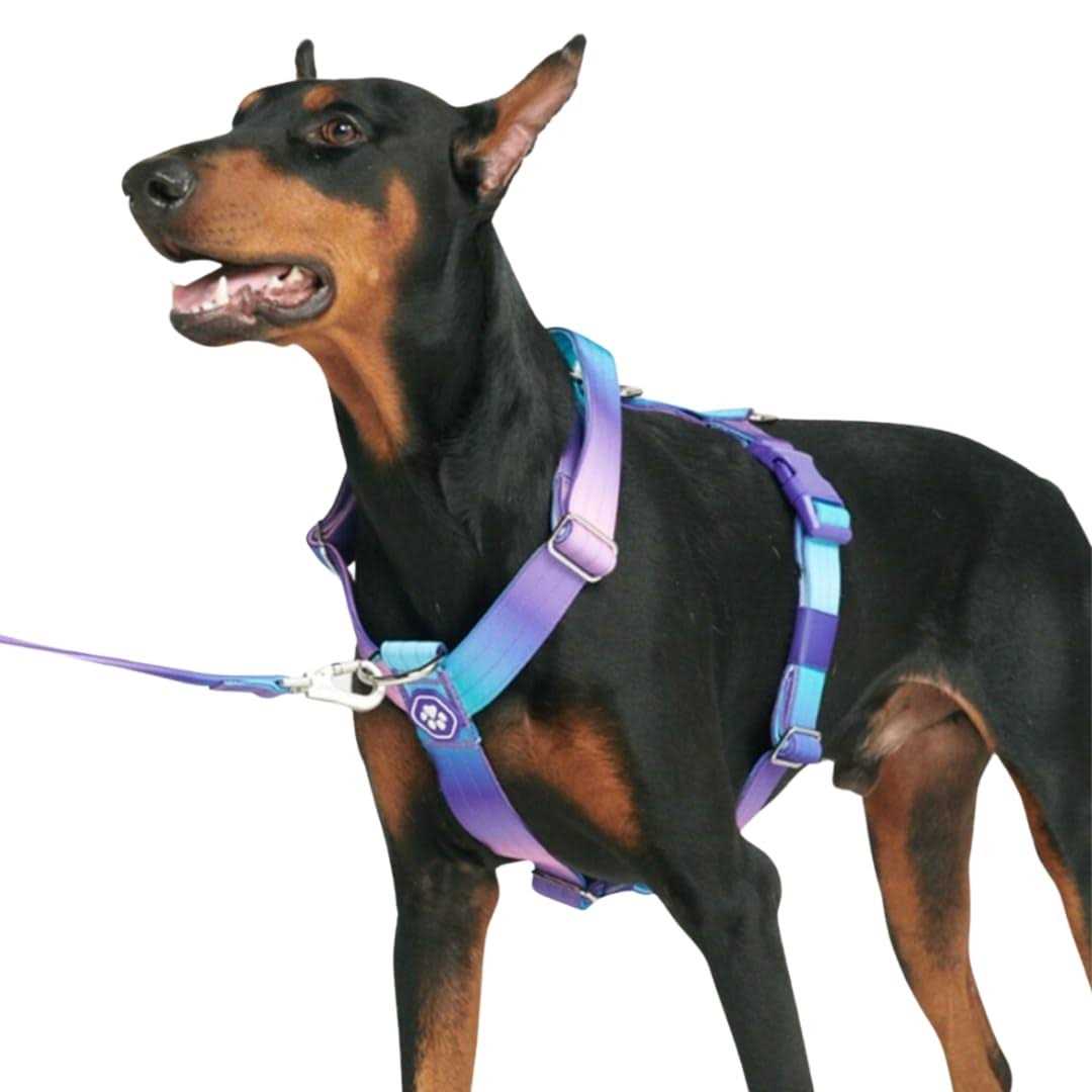 Spark Paws No-Pull Dog Harness Designed for Safety and Control