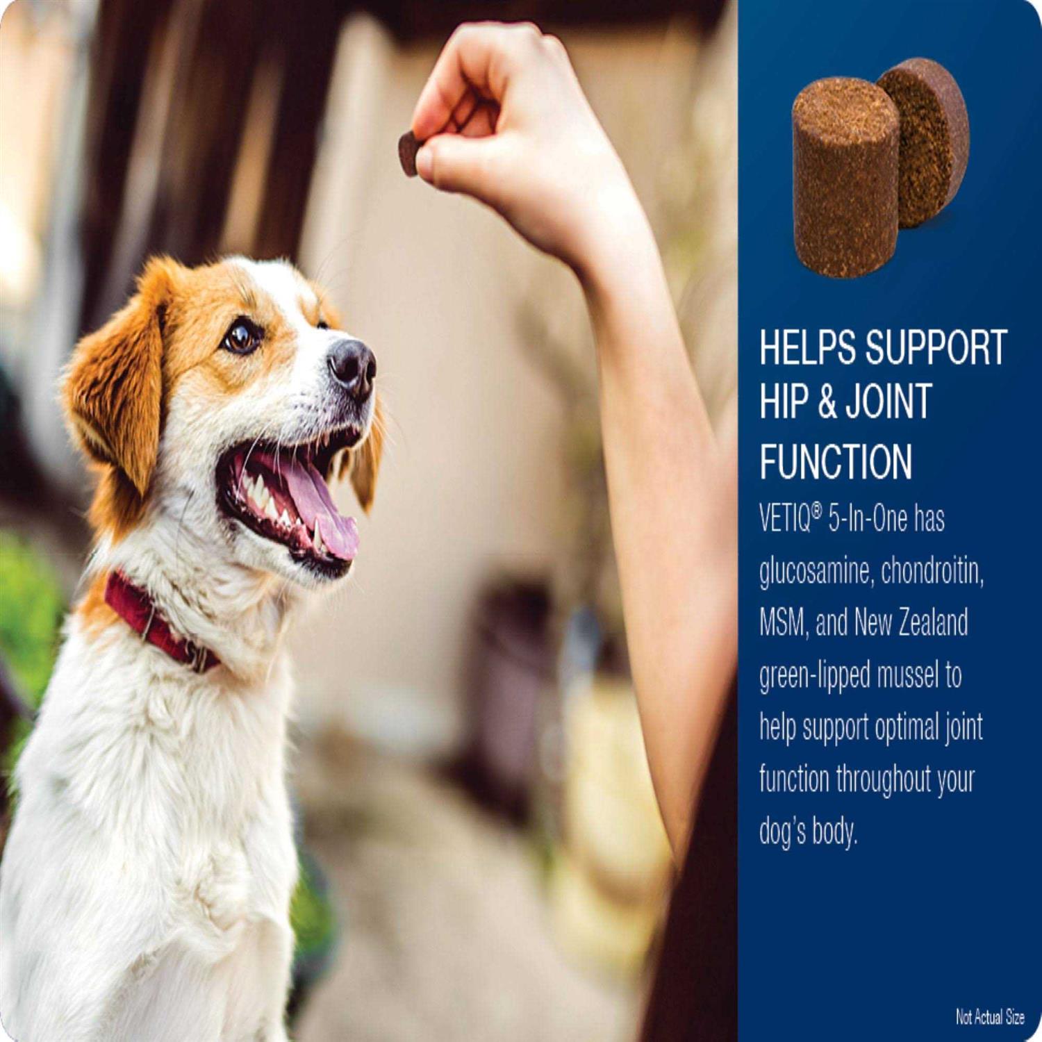 Sergeants VetIQ 5-in-One Multi-Benefit Soft Chews for Dogs