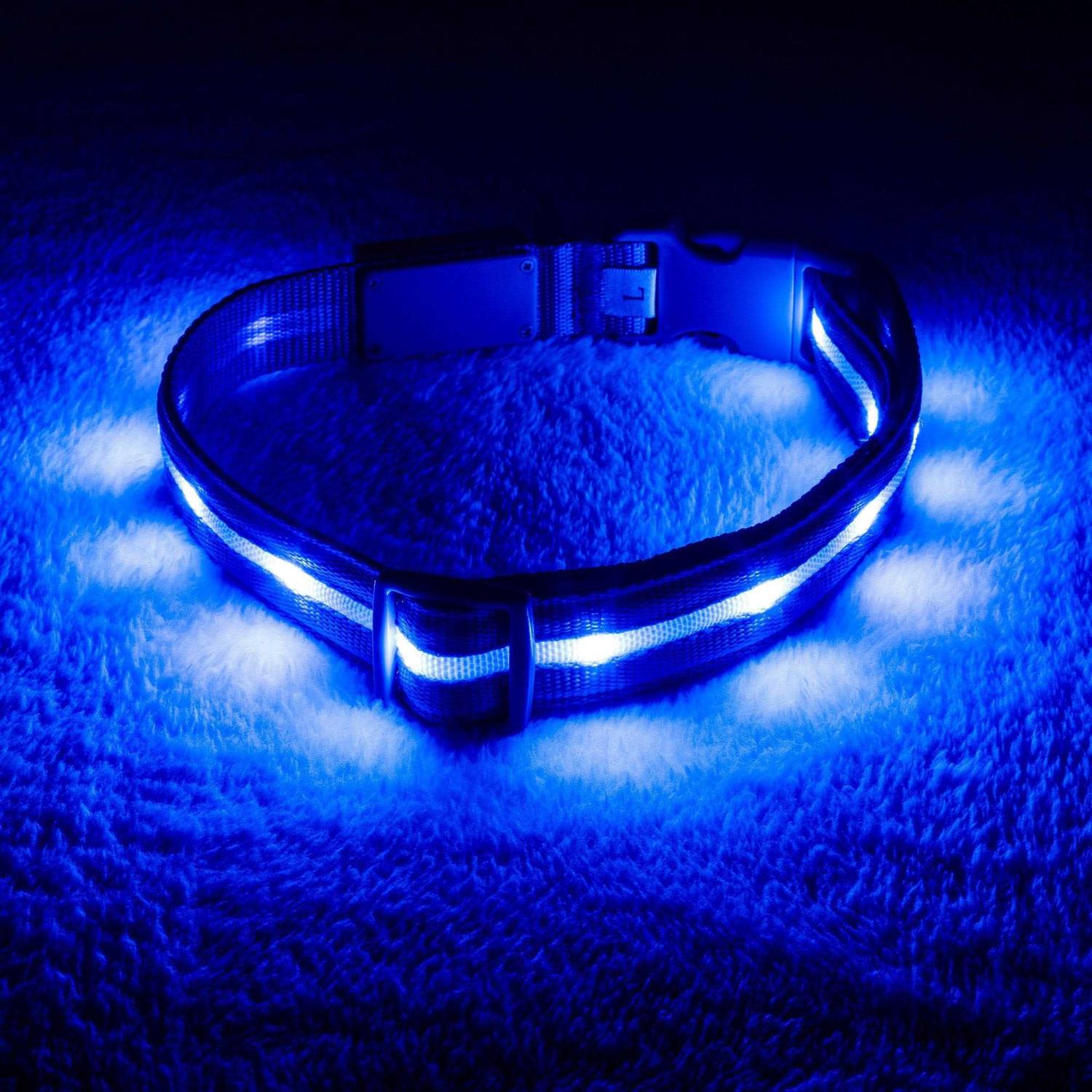 Blazin LED Light Up Dog Collar 1,000 Feet of Visibility