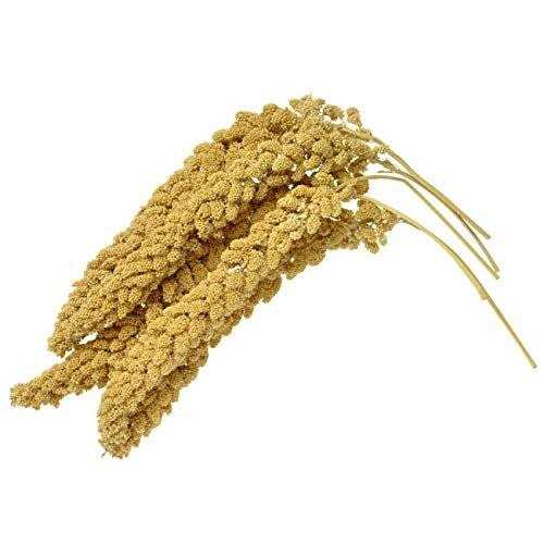 Birds LOVE Wholesome & Lovely Spray Millet GMO Free No Pesticide for Parrots Cockatiel Lovebird Parakeet Finch Canary