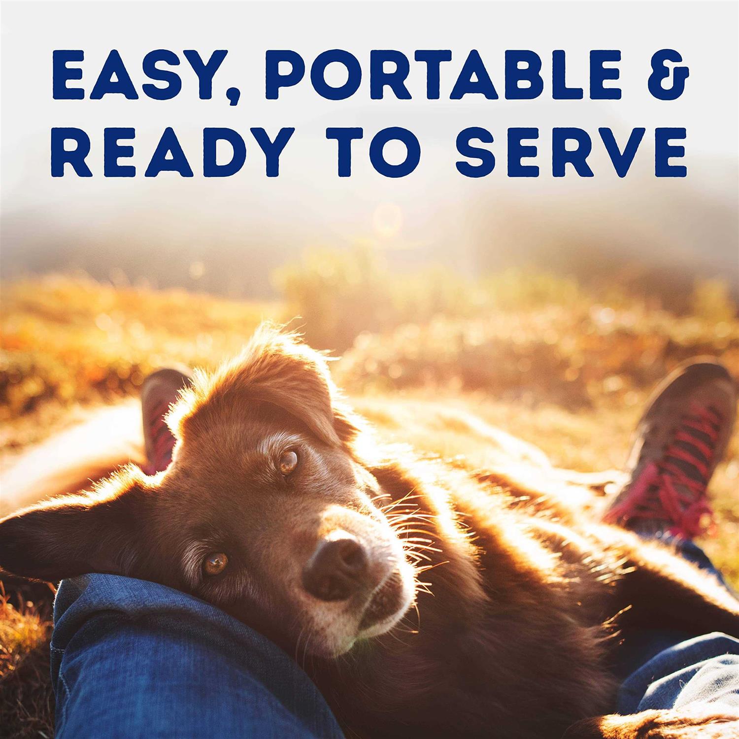 Natural Balance Platefulls Savory Duck & Pumpkin Recipe Wet Dog Food