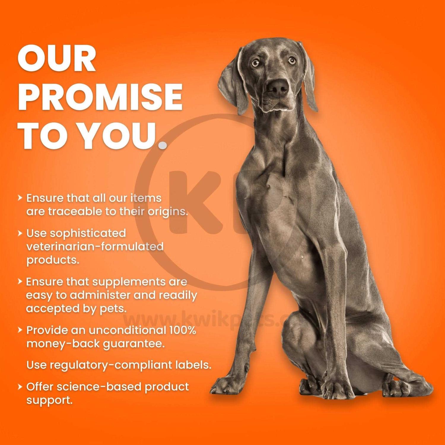 Nutri Vet Fish Oil Softgels for Dogs