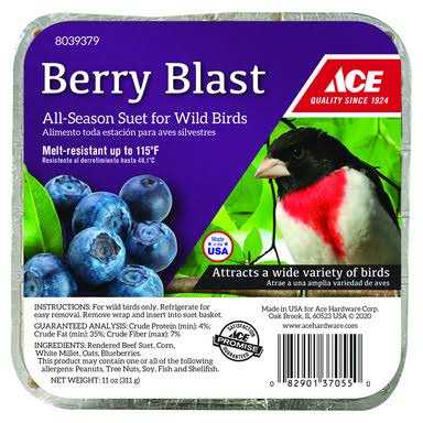 Ace Berry Blast Assorted Species beef Suet 11 oz