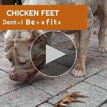 Amazing Dog Treats Chicken Feet Grade A Chicken Feet