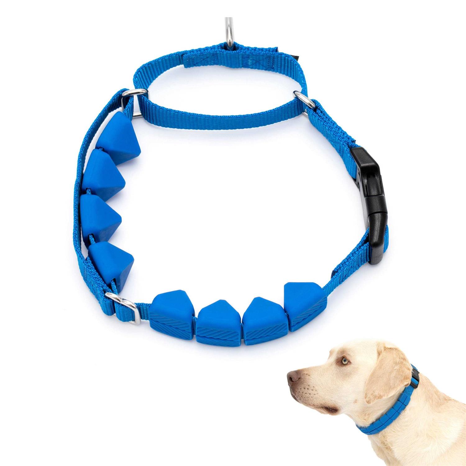 PetSafe Soft Point Training Collar