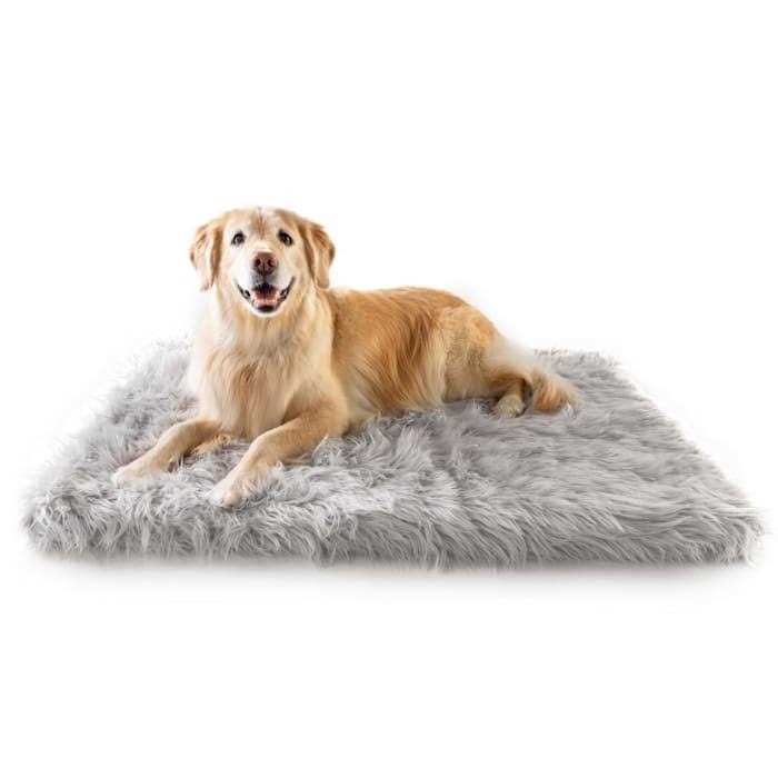 Paw PupRug Portable Orthopedic Dog Bed White