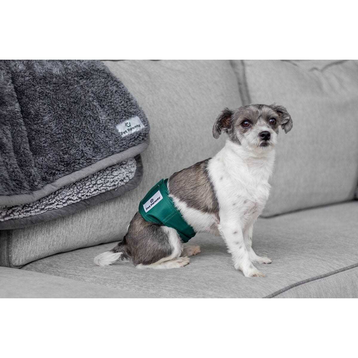 Pet Parents Washable Dog Belly Bands of Premium Male Dog Wraps