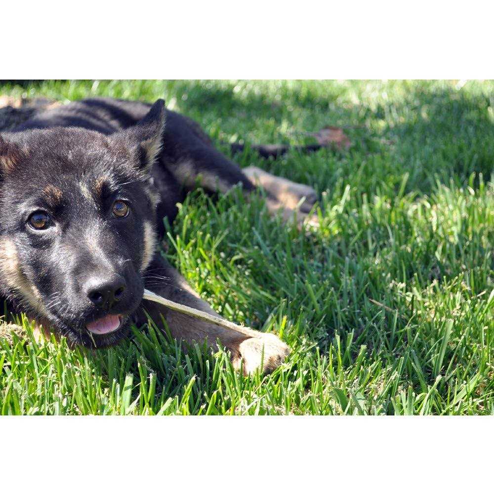 Ora-Clens Oral Hygiene Dental Dog Treats