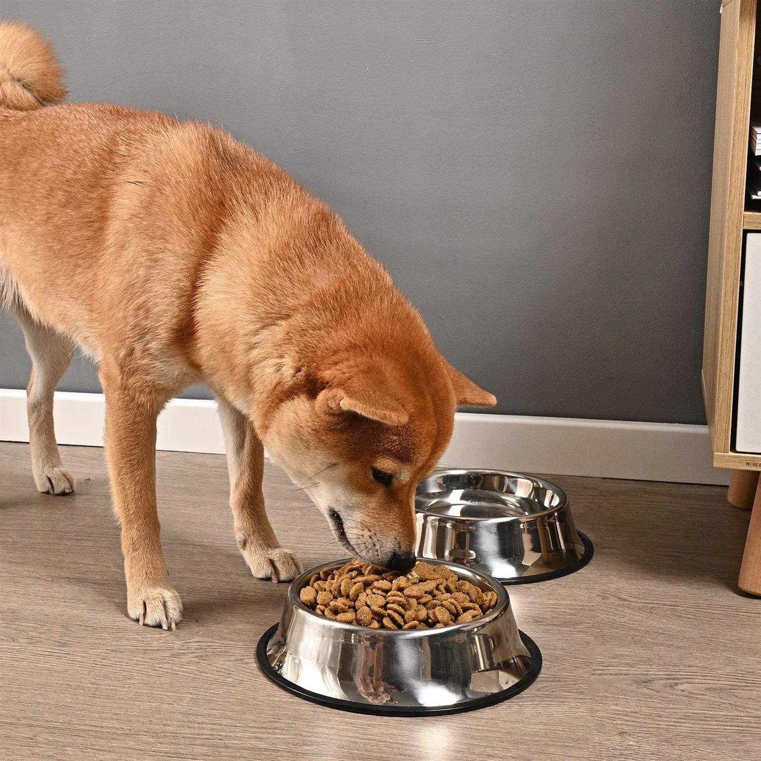 Juqiboom 2Packs Stainless Steel Dog Bowl with Anti-Skid Rubber Base for Small/Medium/Large Pet, Perfect Dish, Pets Feeder Bowl and Water Bowl Perfect Choice