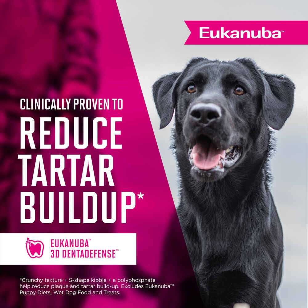 Eukanuba Adult Dry Dog Food