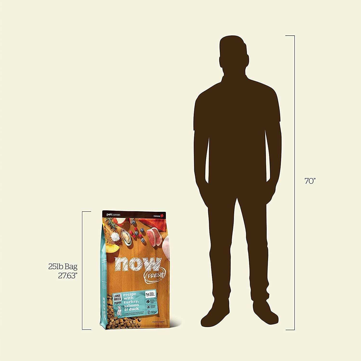 Now Fresh Grain-Free Puppy Recipe Dry Dog Food