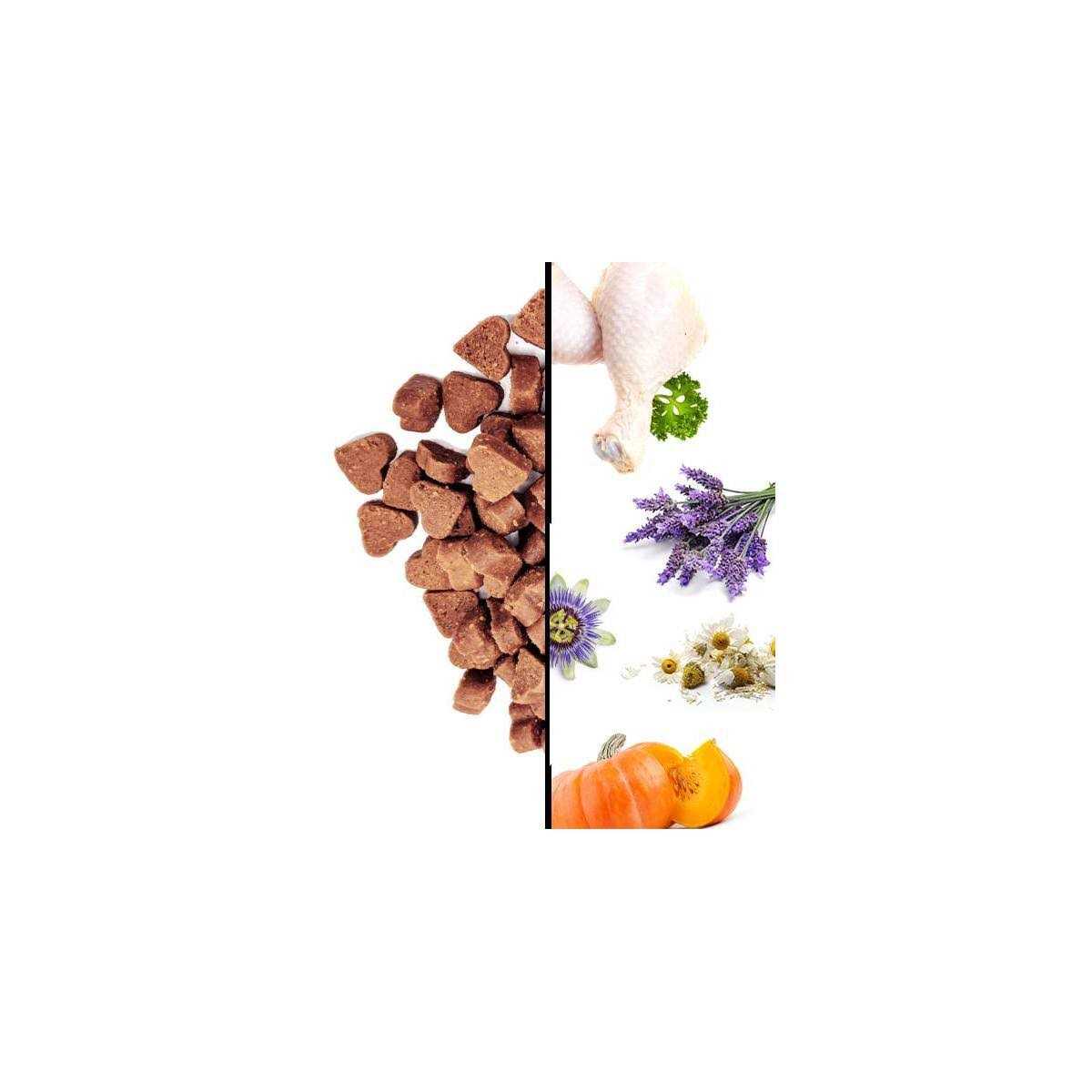 I and love and You Meow and Zen Hearties Cat Treats