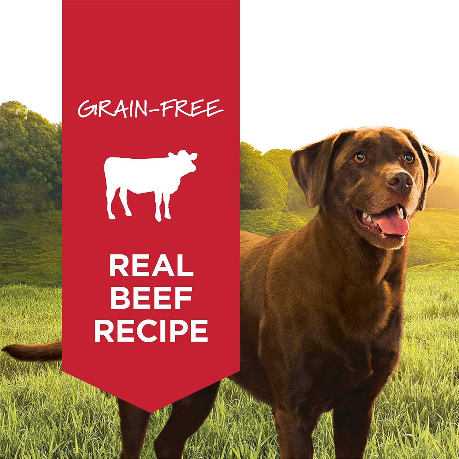 Instinct Grain-Free Beef Formula Canned Dog Food