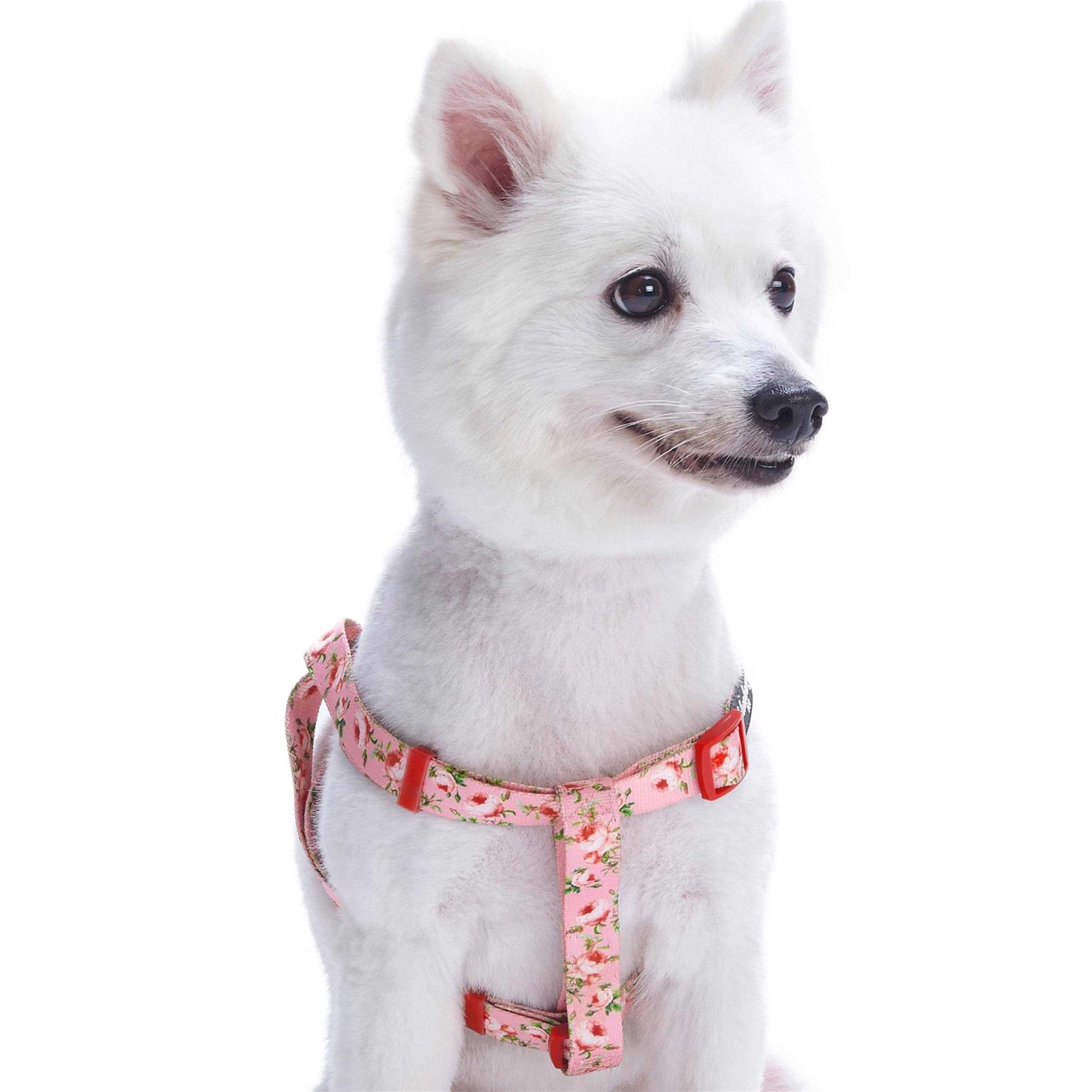 Blueberry Pet Step Dog Harness