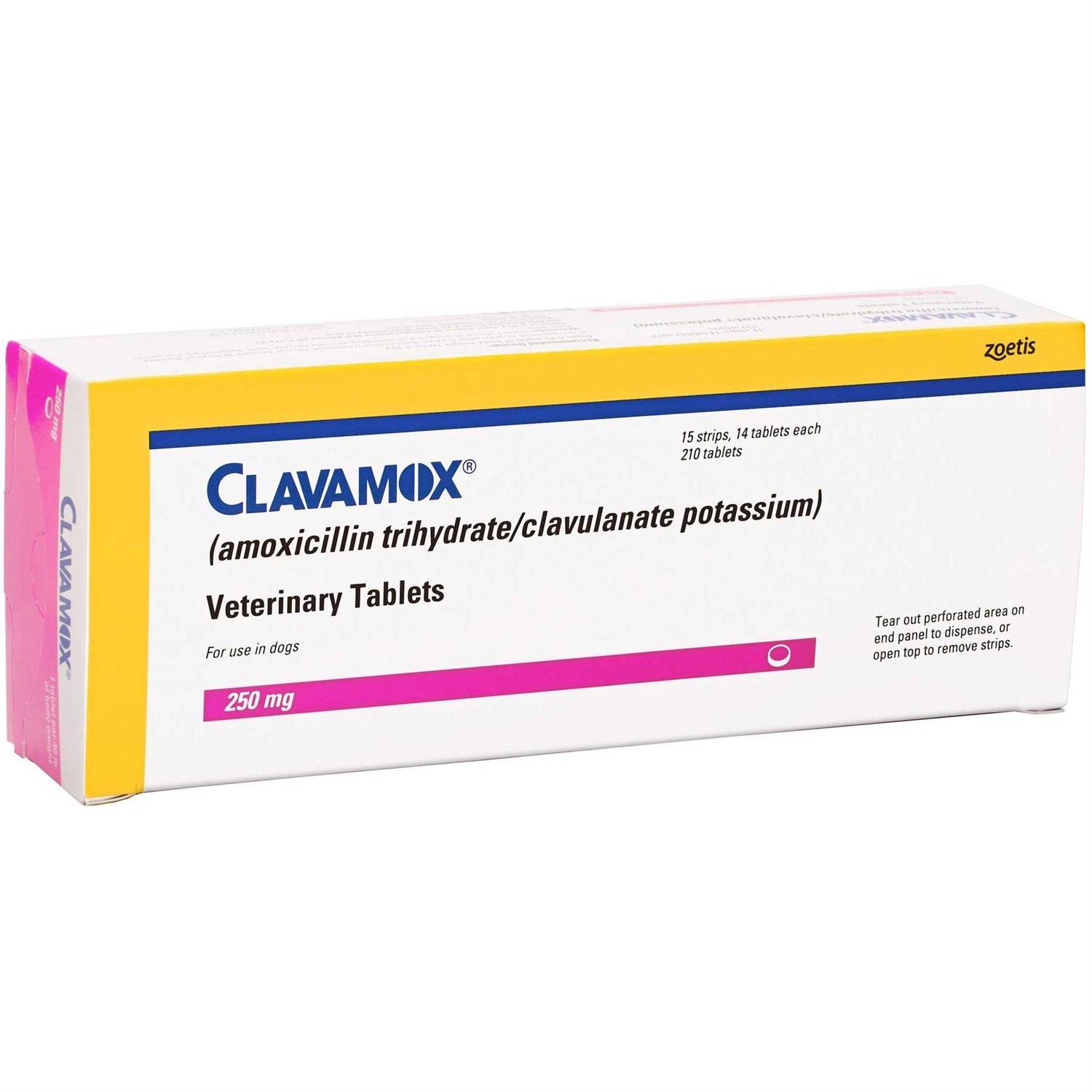 Clavamox Chewable