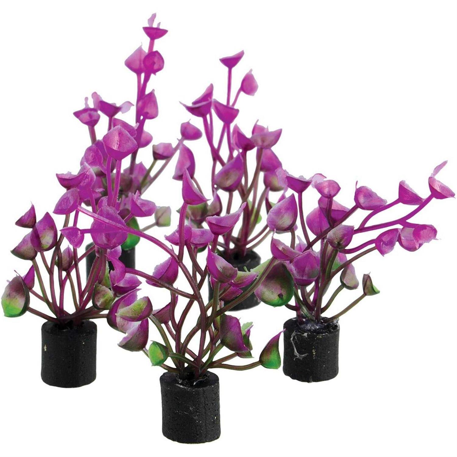 Underwater Treasures Mini Plant Purple Ear