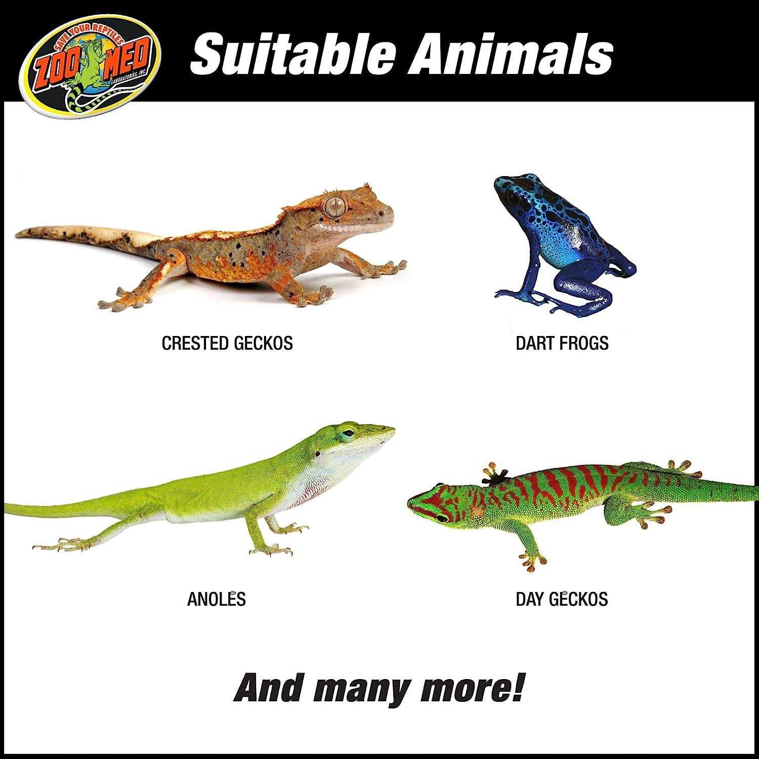 Zoo Med Naturalistic Terrarium Tropical Kit