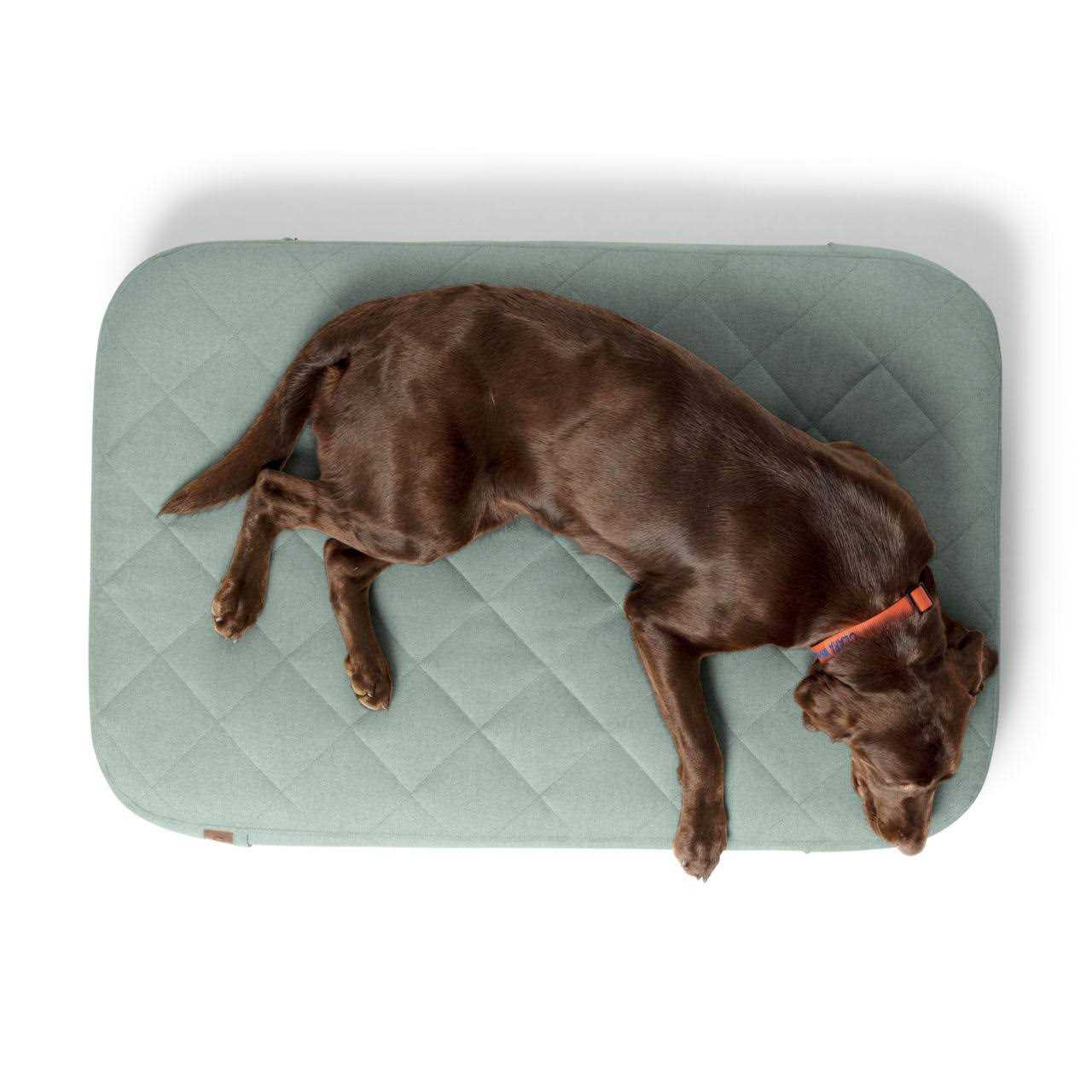 Orvis RecoveryZone Lounger Dog Bed