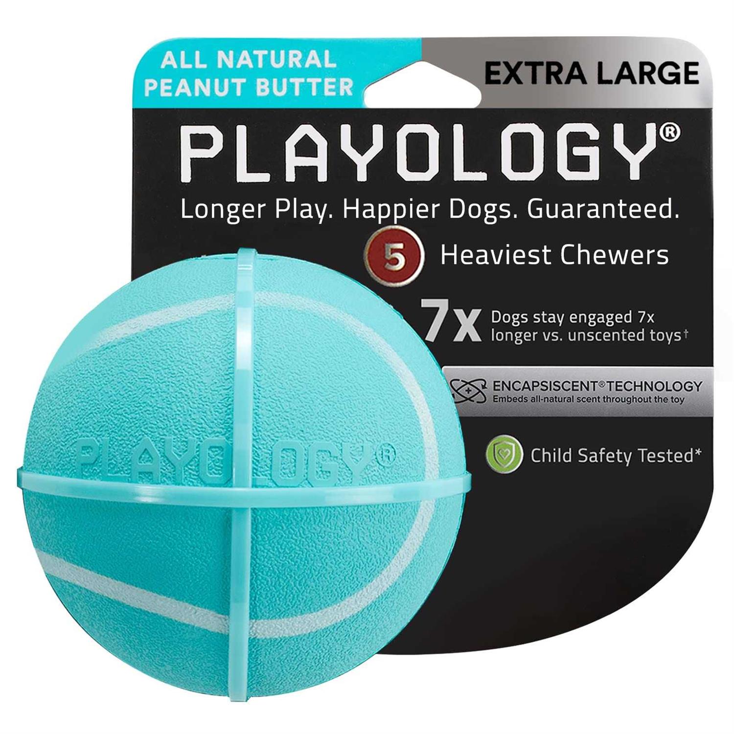 Playology Squeaky Chew Ball Dog Toy