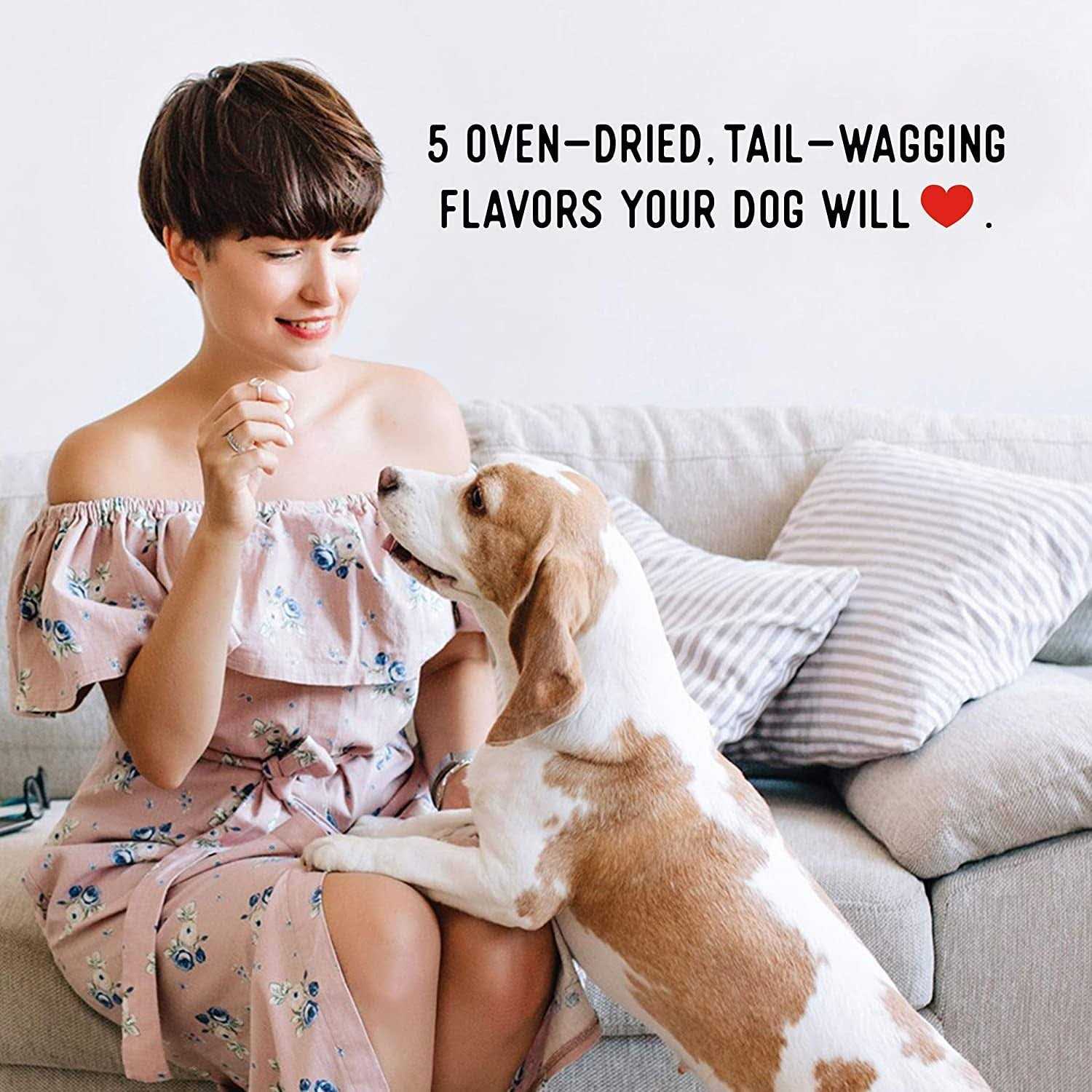 Farmland Traditions No Antibiotics Ever Chicken Jerky Dog Treats