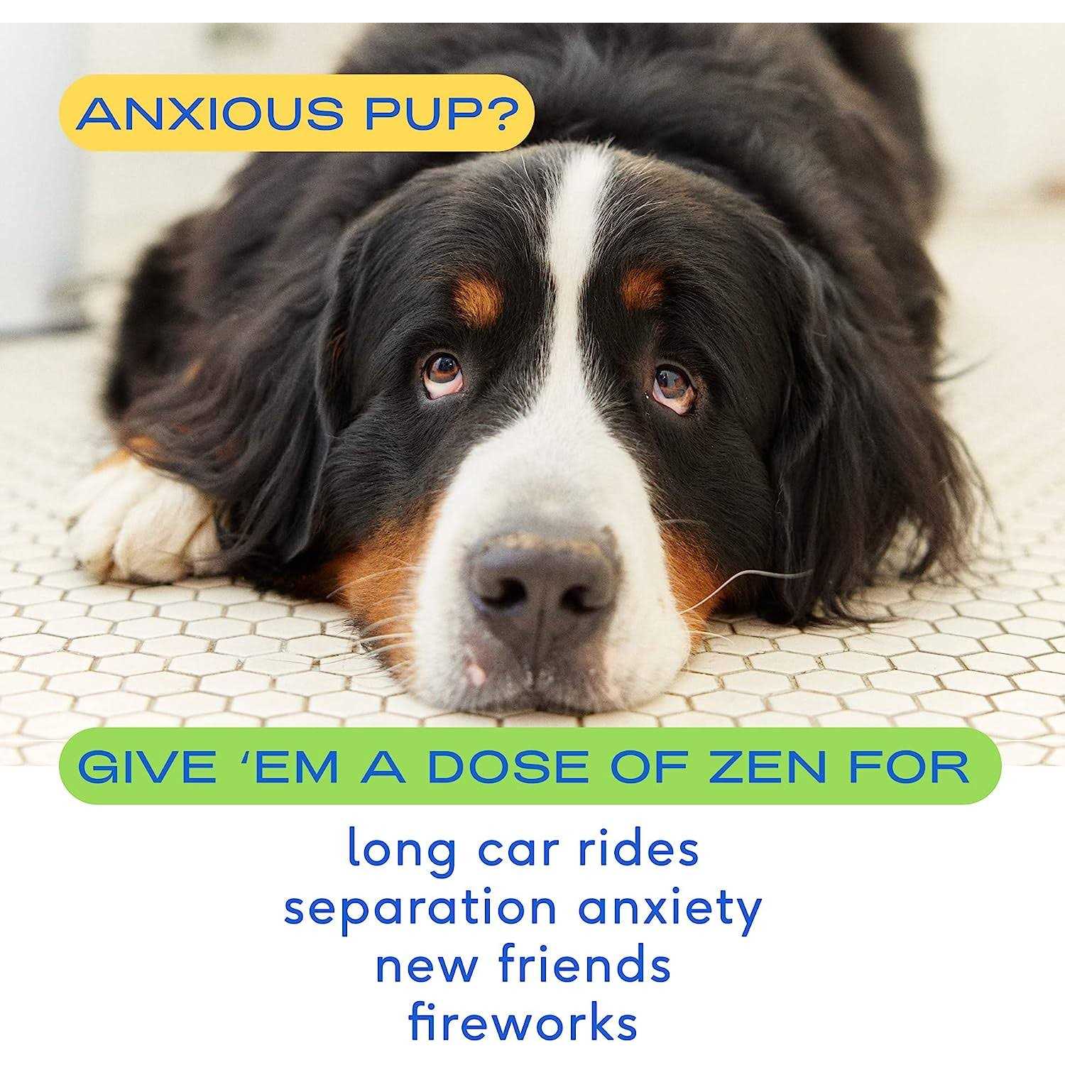 Native Pet Calming Chews for Dogs