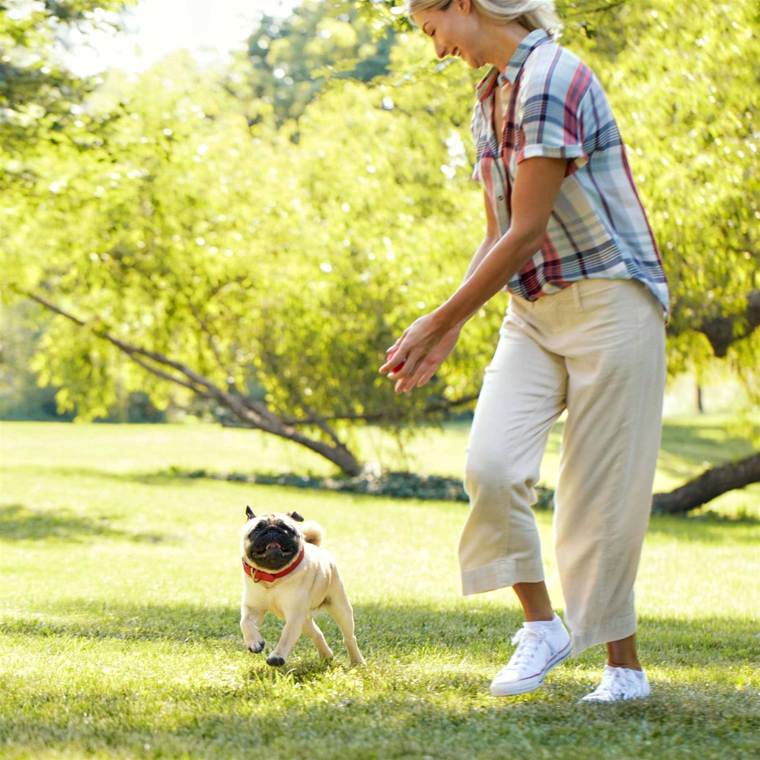 Milk-Bone Stuffed Dog Treats Bacon & Beef