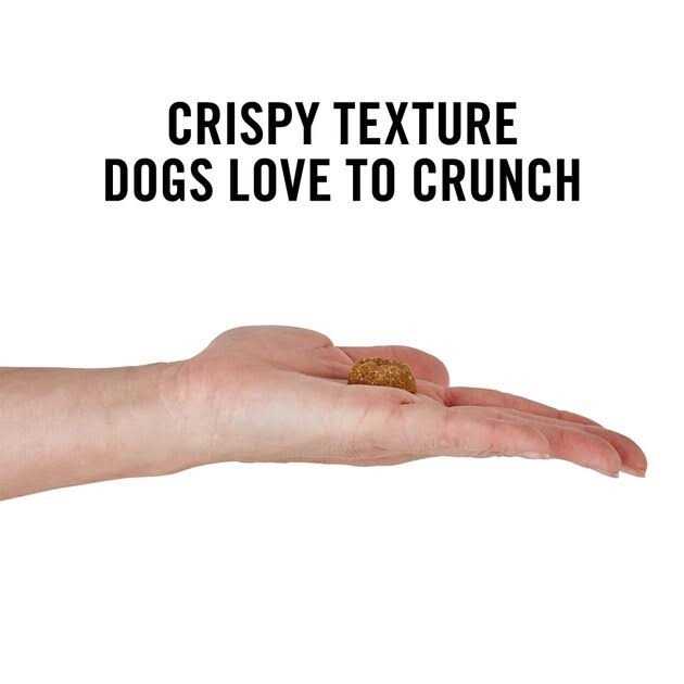 American Journey Peanut Butter Recipe Grain-Free Oven Baked Crunchy Biscuit Dog Treats