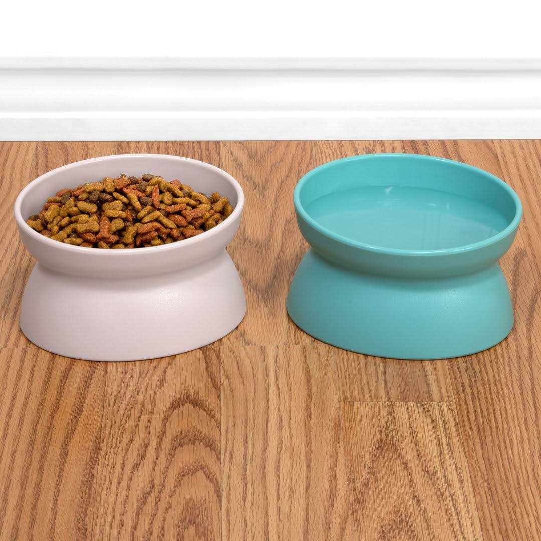 Kitty City Raised Cat Food Bowl Collection_Stress Free Pet Feeder and Waterer