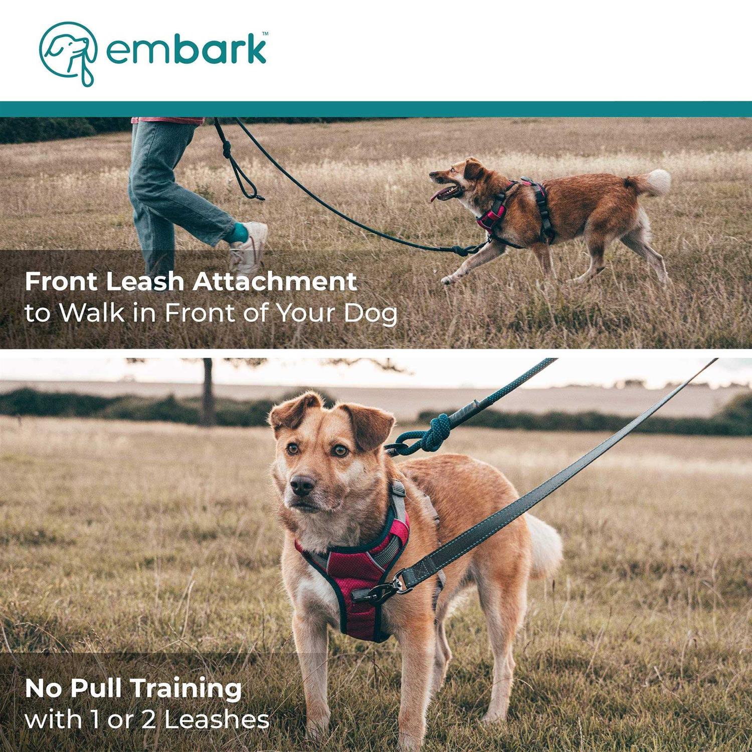 Embark Pets Embark Adventure Dog Harness No-Pull Dog Small Dogs Leash