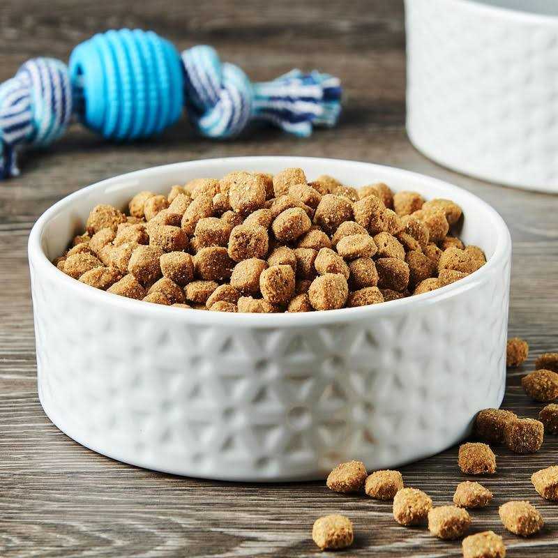 Ol’ Roy Complete Nutrition Roasted Chicken & Rice Flavor Dry Dog Food