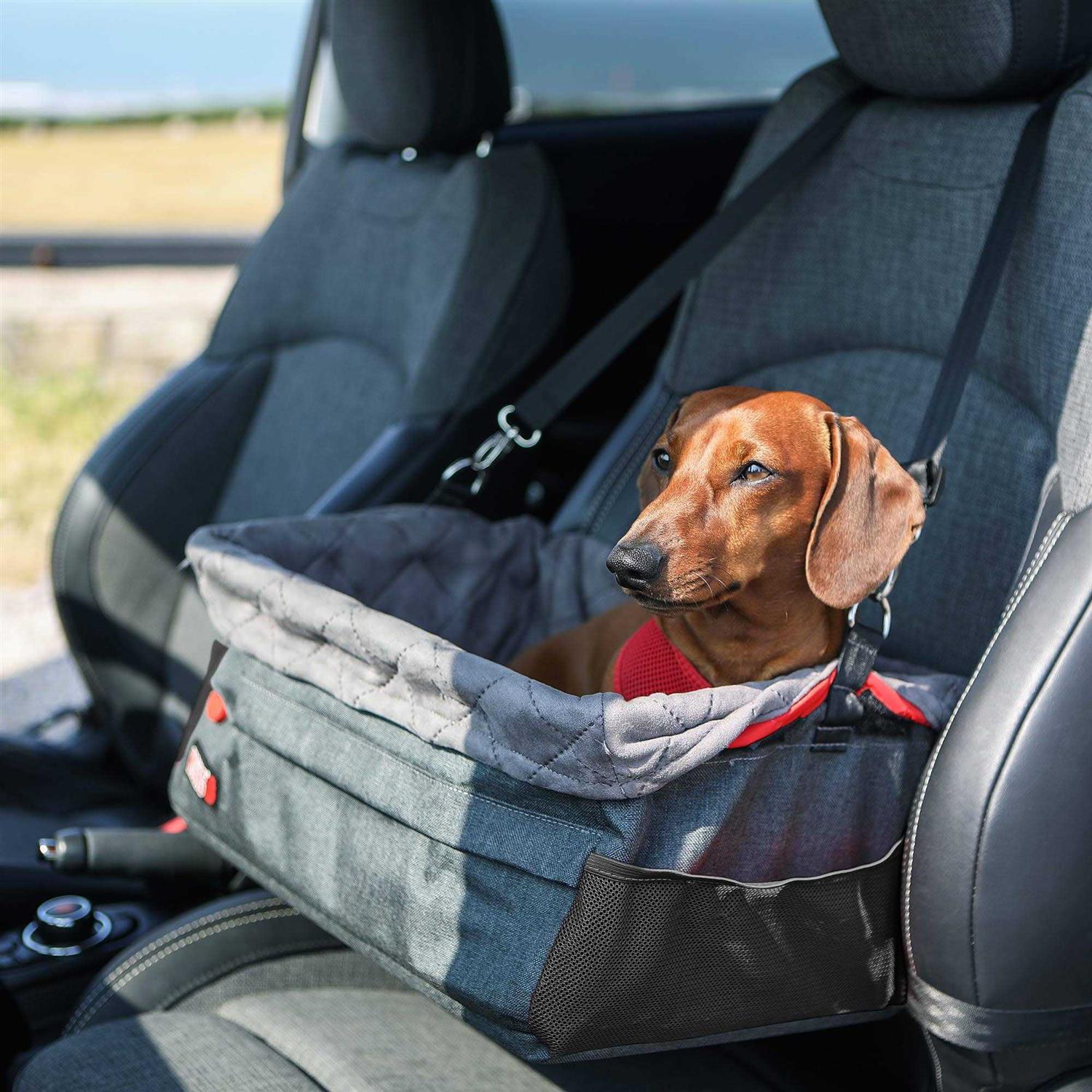 KONG Secure Dog Car Booster Seat with Built-In Tether