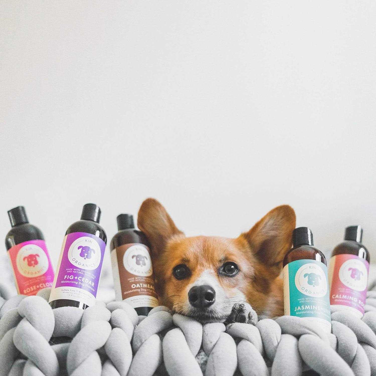 kin+kind Kin Organics Jasmine & Lily Dog Shampoo