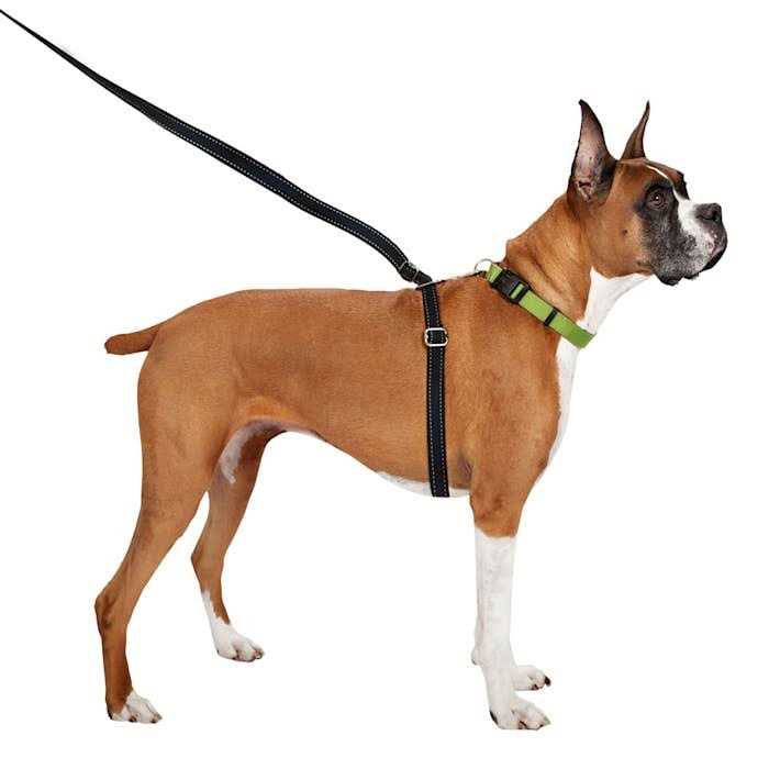 ThunderLeash Retractable Dog Leash