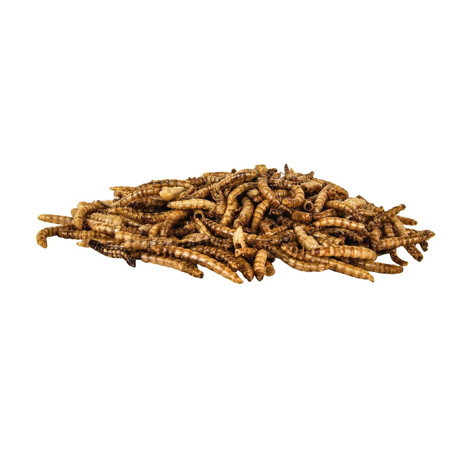 Pennington Mealworms Wild Bird Food