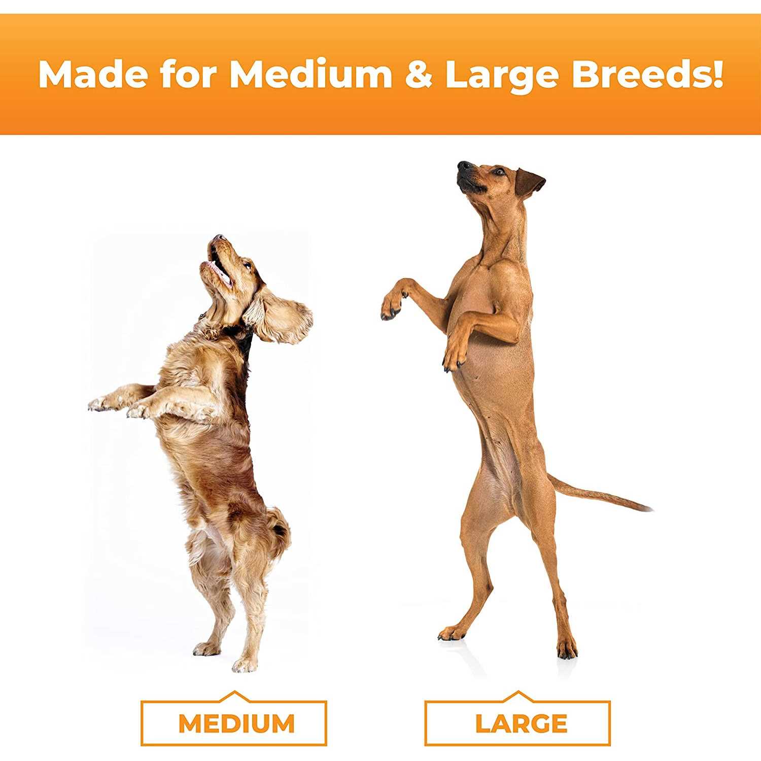 VetriScience GlycoFlex Plus for Dogs