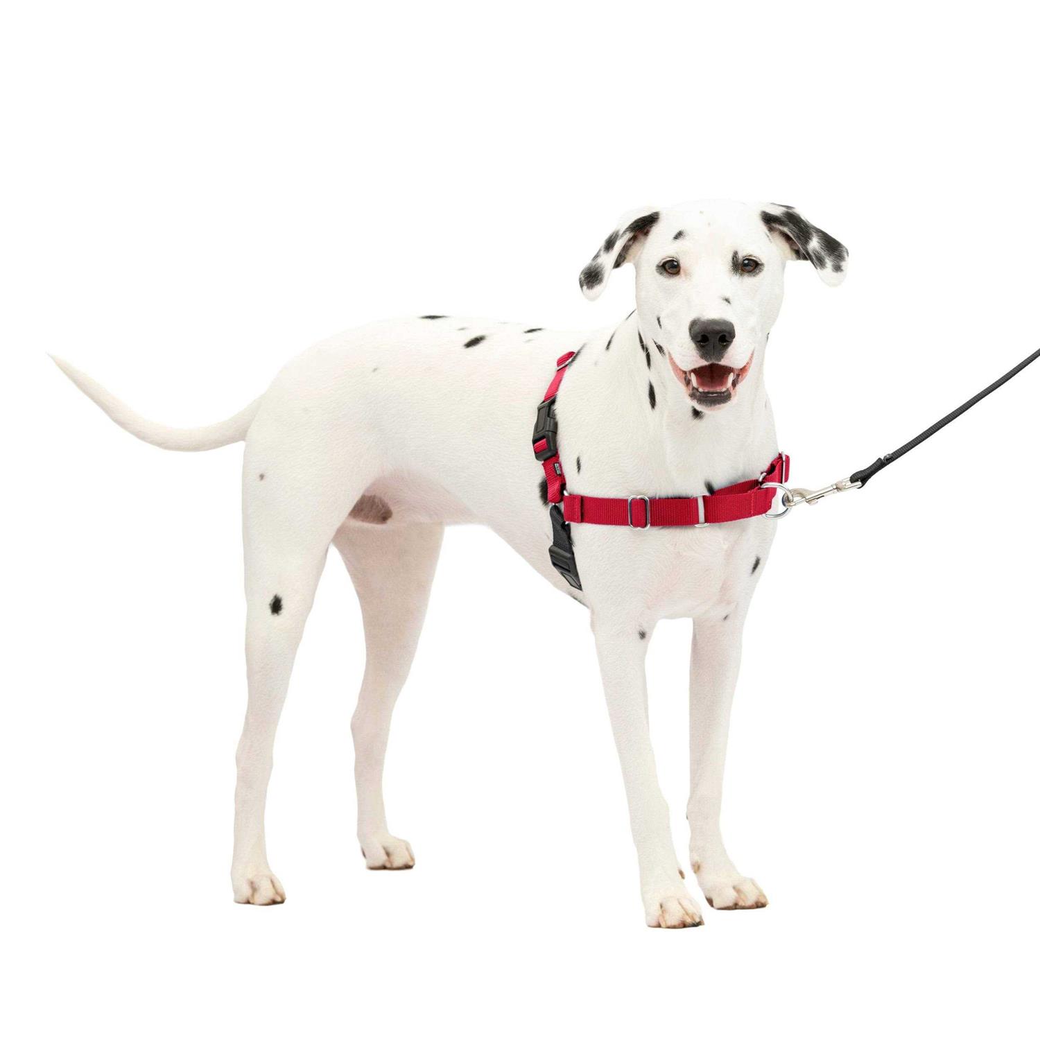 PetSafe Easy Walk Dog Harness