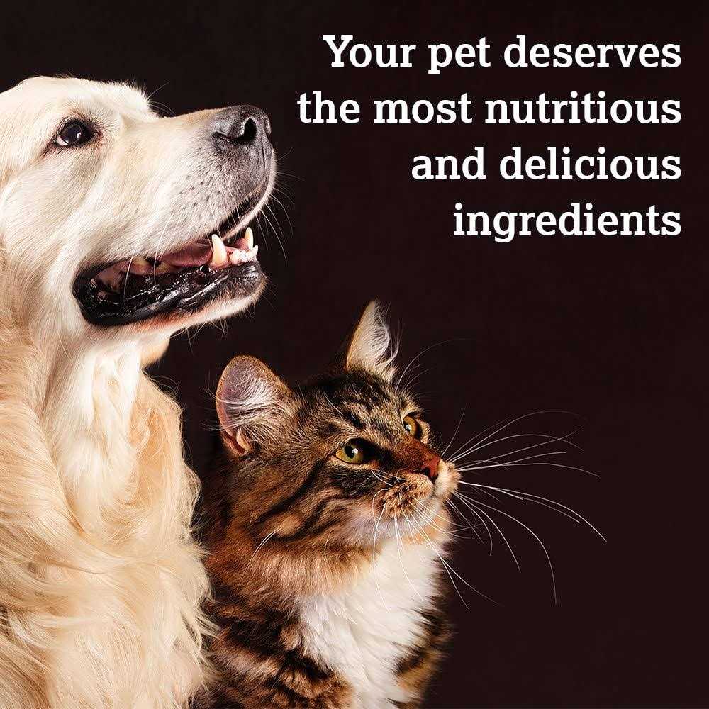 Caru Soft ‘n Tasty Baked Bites Recipe Dog Treats