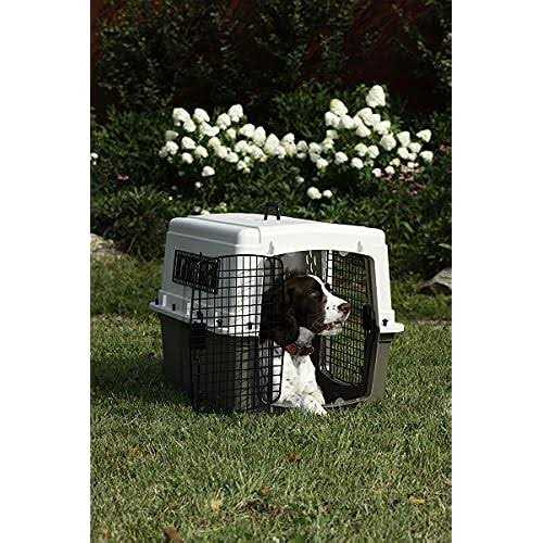 Pet Lodge Double Door Plastic Crate