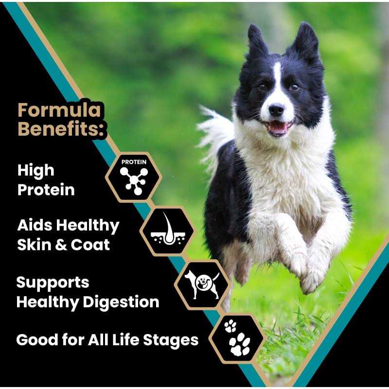 Victor Hi-Pro Plus Dry Dog Food