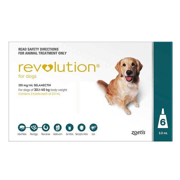 Revolution Teal 6 Pack