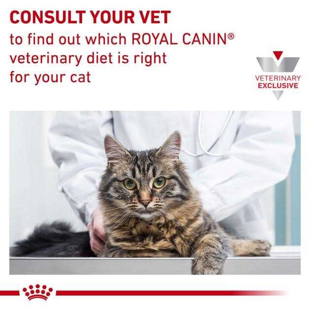 Royal Canin Veterinary Diet Hydrolyzed Protein Feline Treats